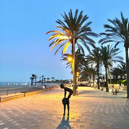 Holanda * Alicante